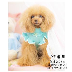 トイプードル 服のランキングtop100 人気売れ筋ランキング Yahoo ショッピング