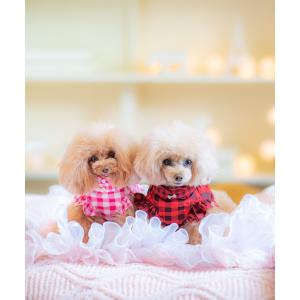 犬の服　かわいい　KALINA　ペットウェア　トイプードル　わんこ服　かりーな　いぬふく　犬服　|　ギンガムチェックブラウス　