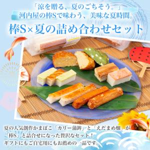 棒S×夏の詰め合わせセット 蒲鉾 かまぼこ 富...の詳細画像1