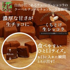 チョコレート 生チョコ 大容量 くちどけ生ショ...の詳細画像4