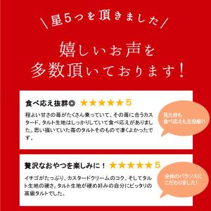 女神様の ストロベリータルト タルト ホールケ...の詳細画像3