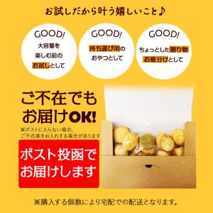 13種類から選べる 1000円ポッキリ みんな...の詳細画像4