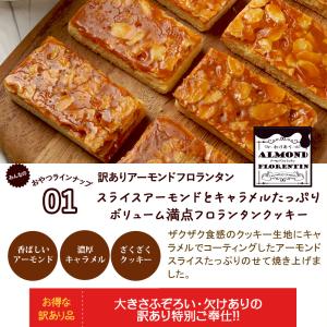 13種類から選べる 1000円ポッキリ みんな...の詳細画像5