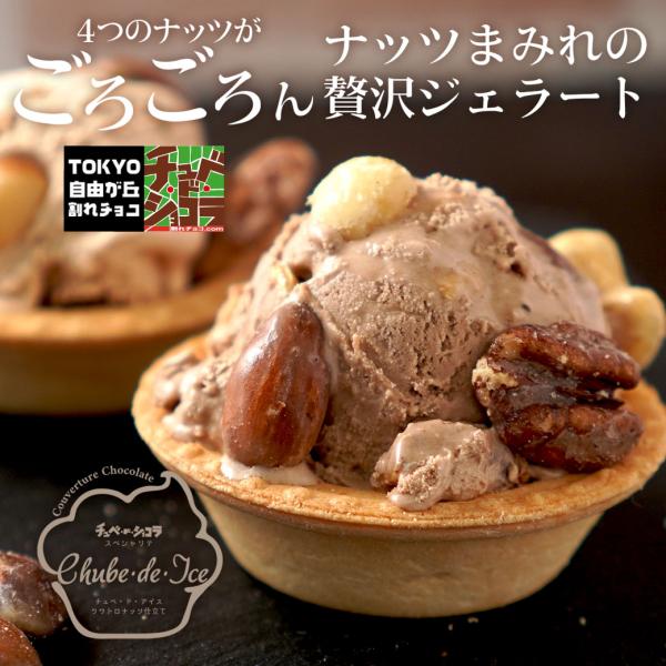 チュベ・ド・アイス　簡易包装(ディッシャー無し)　クワトロナッツ仕立て　チョコレート　アイス　アーモ...