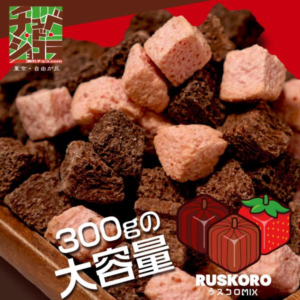 ラスコロミックス RUSKORO　300g　チョコレートラスク　チョコレート　チュベ・ド・ラスク　　...