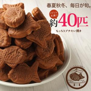 プチたい焼き　40匹セット　たい焼き　饅頭　和菓子　大容量　スイーツ　爆買