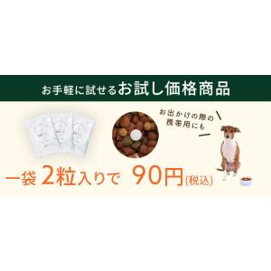 (お試し品) 犬用サプリメント Kamakur...の詳細画像2