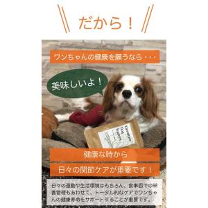 (お試し品) 犬用サプリメント Kamakur...の詳細画像5