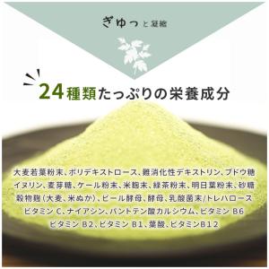 (お試し品)犬猫用ヘルスケア Kamakura...の詳細画像1