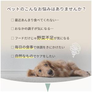 (お試し品)犬猫用ヘルスケア Kamakura...の詳細画像4