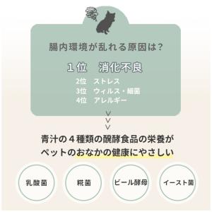 (お試し品)犬猫用ヘルスケア Kamakura...の詳細画像5