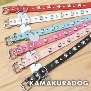 2袋SET アニミューン 14g : OSK store - 通販 - Yahoo!ショッピング