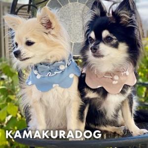 水玉フリルスカーフ　犬の服｜kamakuradog