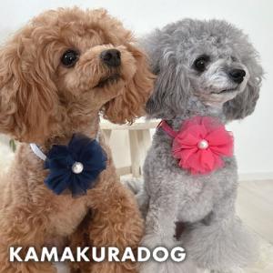 フラワーコサージュチョーカー　犬の服