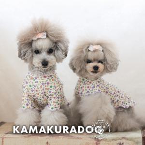 リラフルールトップス　犬の服