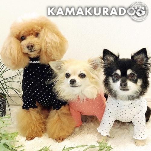 ドットハイネック　犬　服