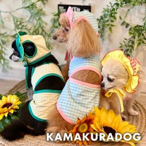 セレブなオーダーメイド犬服ミントブルードレス : オーダーメイド