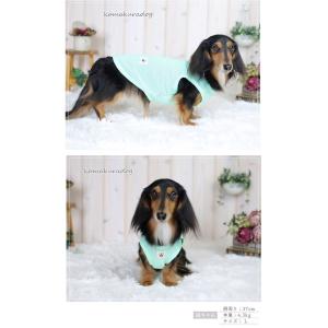 UVケアメッシュタンク 犬の服 犬服 夏用 メ...の詳細画像3
