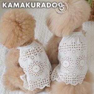 涼しげレースワンピース　犬の服｜鎌倉DOG Yahoo!店