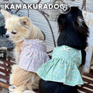 うららかショート丈ワンピ　犬の服｜kamakuradog