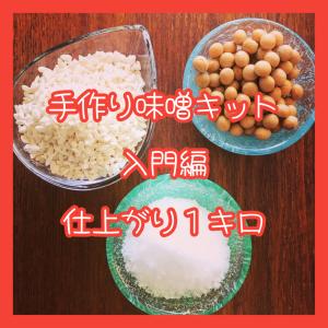 手作り味噌キット入門編 仕上り１ｋｇ　ネコポス配送　みそづくり　手作り　ワークショップ