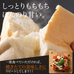 鎌倉屋 生食パン 「選べるお試しセットA」 食...の詳細画像3