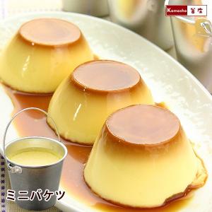 プリン アリスのミニバケツプリン 3ヶ入 ギフト 女性 母 おしゃれ プレゼント スイーツ ぷりん バケツプリン 容器 かわいい ウィルマート