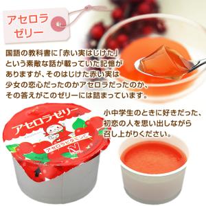 給食ゼリー アセロラゼリー 学校給食 5ヶ入の詳細画像5