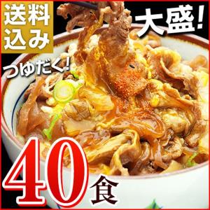 牛丼の具 冷凍 牛丼の素 日東ベストの牛丼DX 業務用 冷凍食品 185g入を40パック｜kamasho