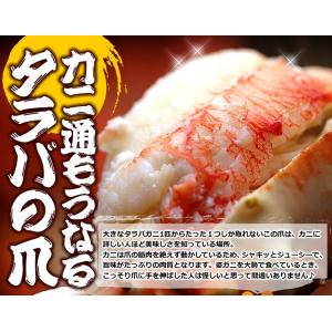 タラバガニ 爪 特大 ボイル 親爪 たらば蟹 ...の詳細画像1