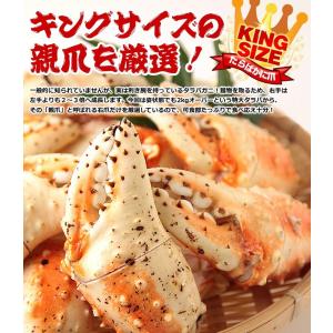 タラバガニ 爪 特大 ボイル 親爪 たらば蟹 ...の詳細画像2