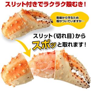 タラバガニ 爪 特大 ボイル 親爪 たらば蟹 ...の詳細画像3