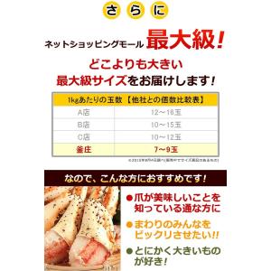 タラバガニ 爪 特大 ボイル 親爪 たらば蟹 ...の詳細画像4