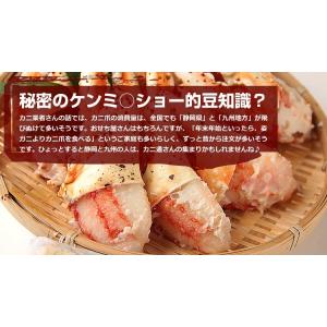タラバガニ 爪 特大 ボイル 親爪 たらば蟹 ...の詳細画像5
