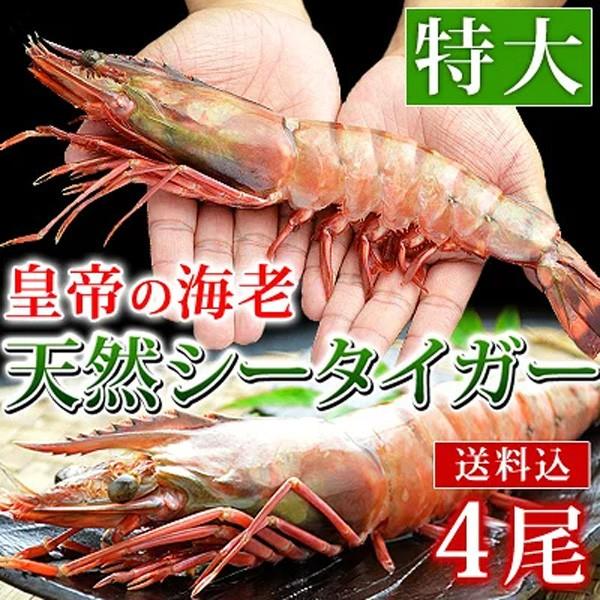 特大 冷凍 天然 シータイガー ジャンボエビ 皇帝の海老 エビ 海老 有頭えび 4尾セット 1尾15...