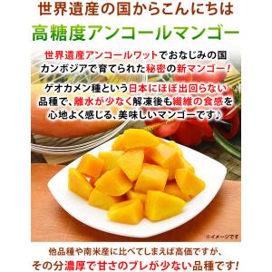 冷凍 マンゴー カット済み 完熟マンゴー 50...の詳細画像2