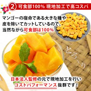 冷凍 マンゴー カット済み 完熟マンゴー 50...の詳細画像4