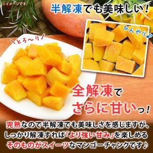 冷凍 マンゴー カット済み 完熟マンゴー 50...の詳細画像5