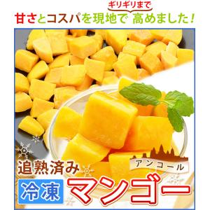 冷凍 マンゴー カット済み 完熟マンゴー 50...の詳細画像1