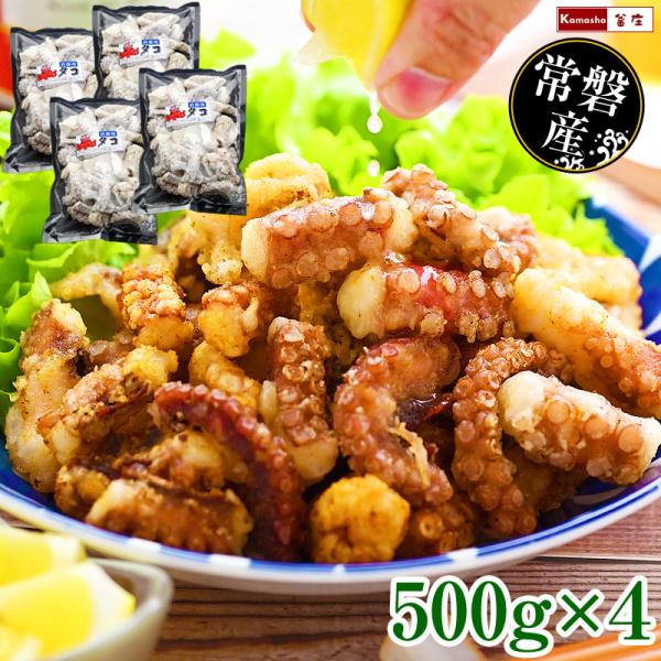 国産 常磐産 常磐もの たこの唐揚げ 500g×4パック 計2kg タコの唐揚げ たこ唐揚げ タコ唐...