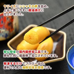 半年ぶり入荷 子持ヤリイカ 100g & ふく...の詳細画像2