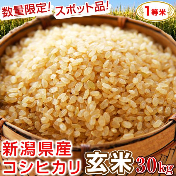 玄米 30kg 1等米 新潟県産コシヒカリ 令和7年産 送料無料（沖縄配送不可） 新潟産 こしひかり...