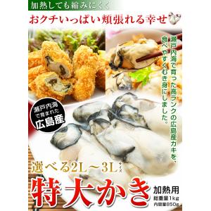 牡蠣 大粒 カキ 国産 特大 冷凍牡蠣 牡蛎 ...の詳細画像1