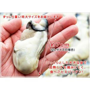 牡蠣 大粒 カキ 国産 特大 冷凍牡蠣 牡蛎 ...の詳細画像2