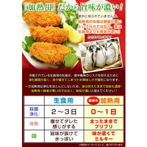 牡蠣 大粒 カキ 国産 特大 冷凍牡蠣 牡蛎 ...の詳細画像3