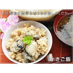 牡蠣 大粒 カキ 国産 特大 冷凍牡蠣 牡蛎 ...の詳細画像5