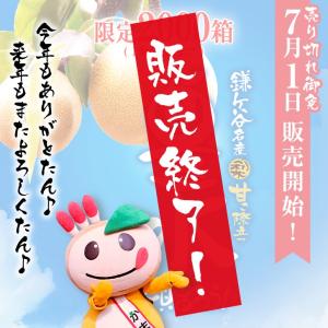 完熟豊水　5kg　20%オフ　かまたんのふるさと梨