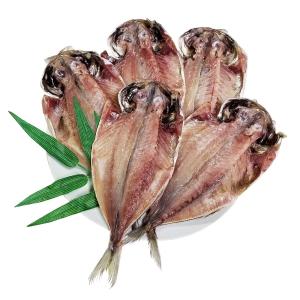 「あじ5枚セット」 干物 国産 無添加 伊豆 熱海 釜鶴 ひもの（冷凍）