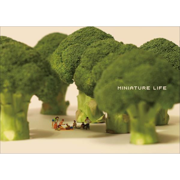 MINIATURE LIFE : Conceptual art of MINIATURE CALEN...