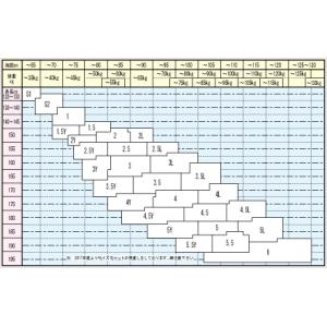 九櫻 プリントゼッケン縫付け込み上下セット J...の詳細画像1